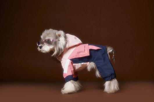 Ropa Deportiva para Perros Bichon Schnauzer con Arnés de Seguridad VIP - Image 5