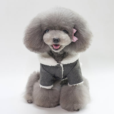 Ropa Personalizada de Invierno para Mascotas - Image 5