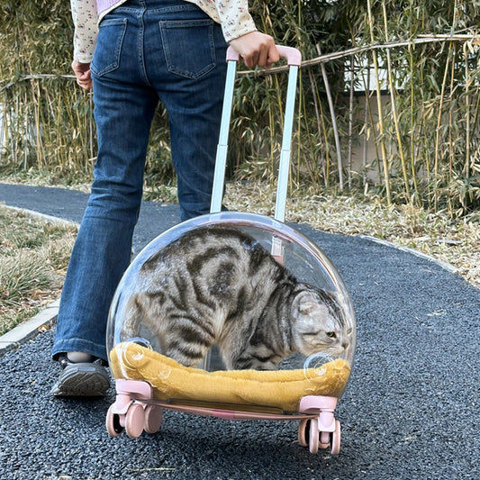 Mochila Transportadora Transparente para Gatos y Mascotas Pequeñas - Image 2