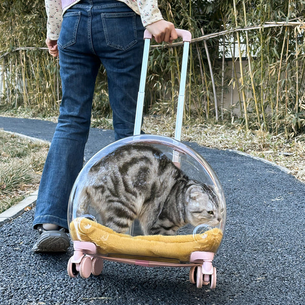 Mochila Transportadora Transparente para Gatos y Mascotas Pequeñas