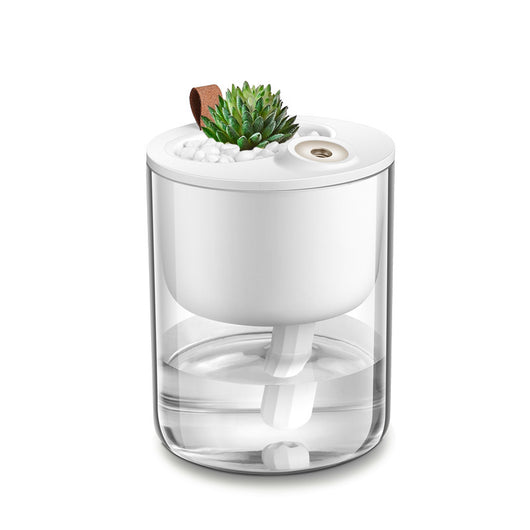 Creative small ecological humidifier with a succulent plant and white stones on top, featuring a clear water tank. - Image 8