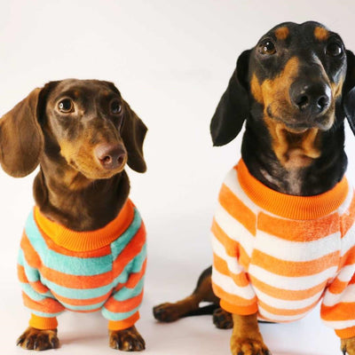Sudadera Casual para Perros y Gatos - Image 8