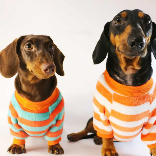 Sudadera Casual para Perros y Gatos - Image 8