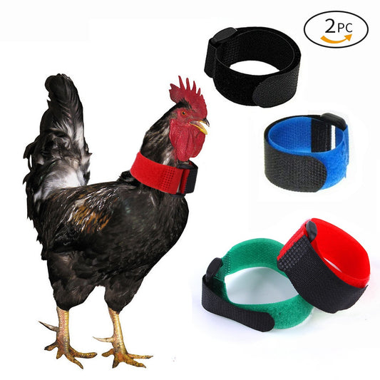 Pack 2 Collares Gallinas Anti-Ruido sin Gancho - Banda Cuello Cómoda