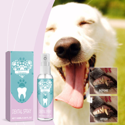 Spray Limpiador de Dientes para Mascotas - Image 8