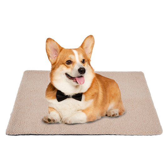 Cama Térmica Autocalefactable para Gatos - Almohadilla Caliente Autoprotegida para Invierno - Image 7