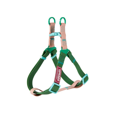 Arnés Paseo Perro con Cuerda PVC Resistente al Agua - Image 9