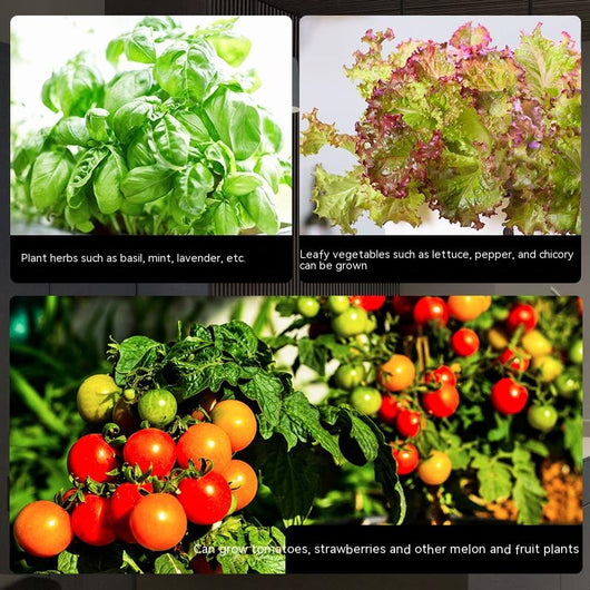 Huerto Inteligente Hidropónico para Cultivo en Interior - Image 10