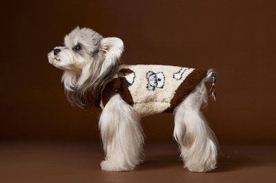 Suéter para Perro Tony Bear con Cuello Solapa - Image 3