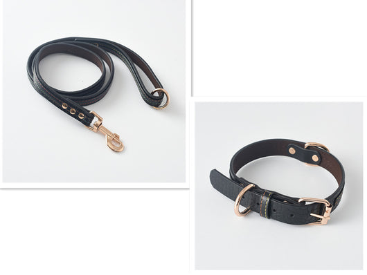 Correa y Collar para Perro - Sistema de Control Seguro - Image 10