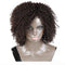 Capuchas de Cabello Vivo Europeo y Americano