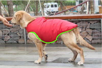 Abrigo de Algodón para Perros - Ropa de Invierno Cálida y Cómoda - Image 7