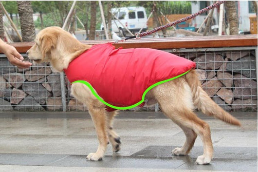 Abrigo de Algodón para Perros - Ropa de Invierno Cálida y Cómoda - Image 7