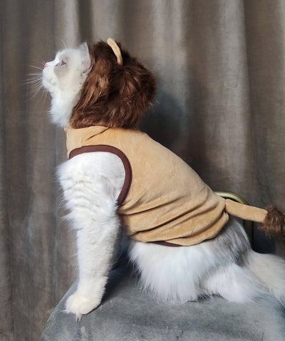 Disfraz de León para Mascotas - Ropa Halloween para Perros y Gatos - Image 14