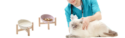 Comedero Elevado para Gatos con Soporte de Madera - Cuencos Cerámicos Antideslizantes - Image 12
