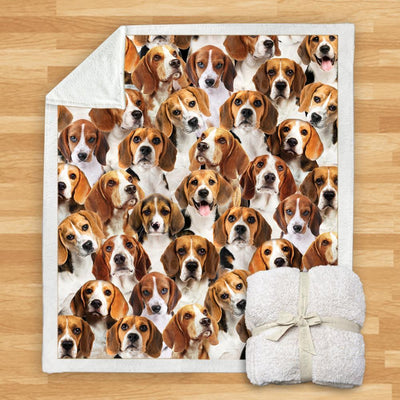 Manta Franela Estampada para Perros - Image 10