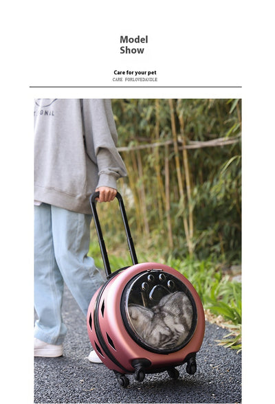 Bolsa Transportadora Transparente Reforzada para Mascotas - Gatos y Perros - Image 16