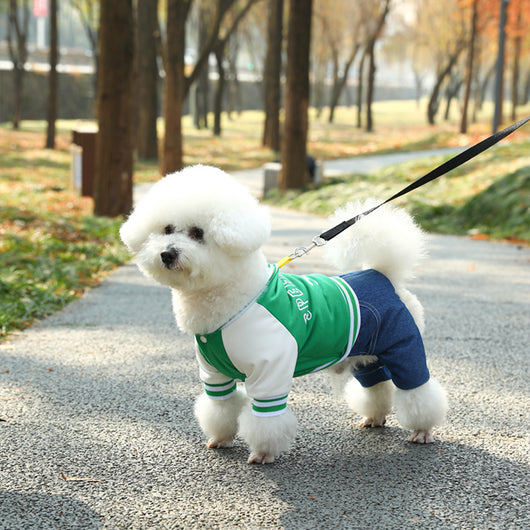 Suéter de Moda para Mascotas de Cuatro Patas