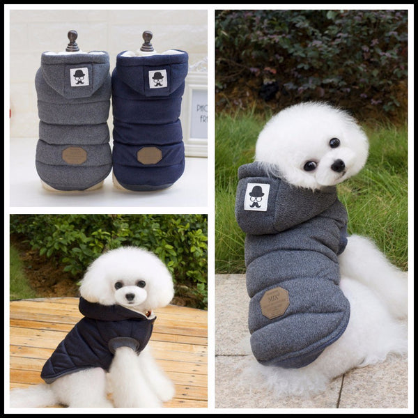 Abrigo de Invierno para Mascotas Pequeñas con Diseño de Bigote