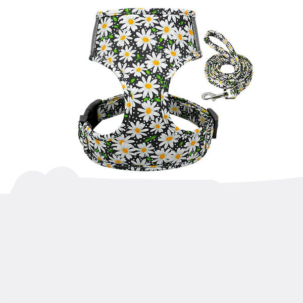 Collarín y Correa Pectoral de Soporte