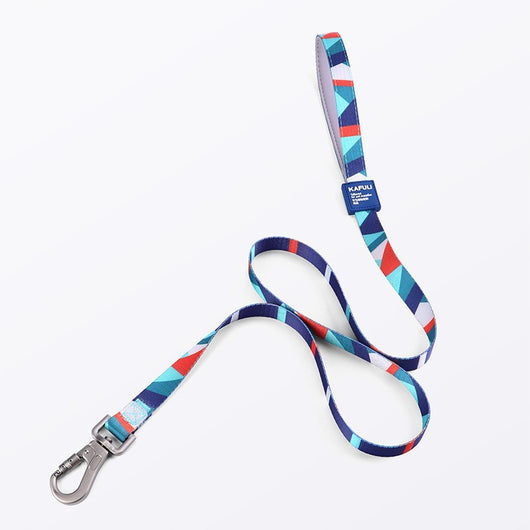 Arnés de Seguridad para Perros con Cuerda de Transporte - Image 4