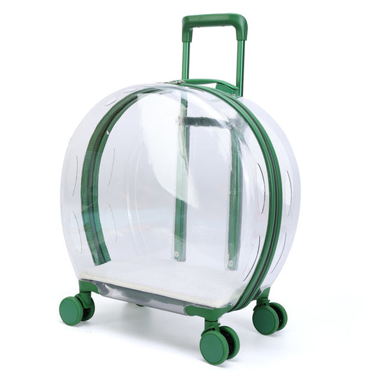 Bolsa Transportadora Transparente para Gatos - Image 6