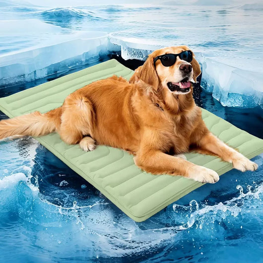 Almohadilla Refrigerante para Mascotas - Colchón Frío Verano Perros y Gatos - Image 15