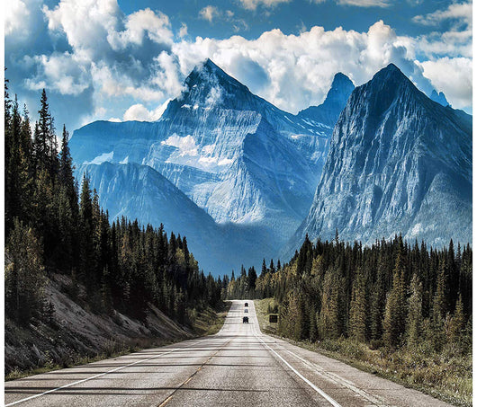 Scenic tapestry featuring a long road winding through a dense forest with majestic snow-capped mountains under a cloudy sky.