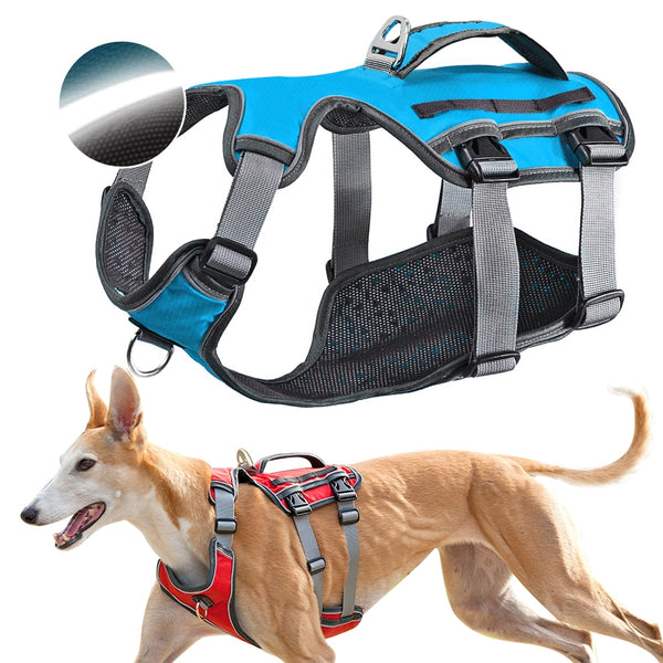 Banda de Soporte Toraco-Lumbar para Perros