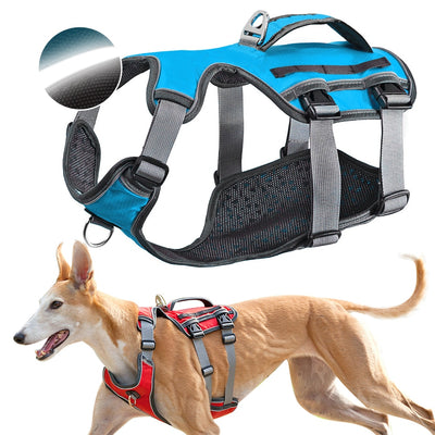 Banda de Soporte Toraco-Lumbar para Perros - Image 2