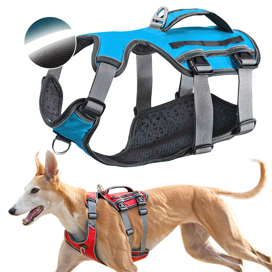 Banda de Soporte Toraco-Lumbar para Perros - Image 2