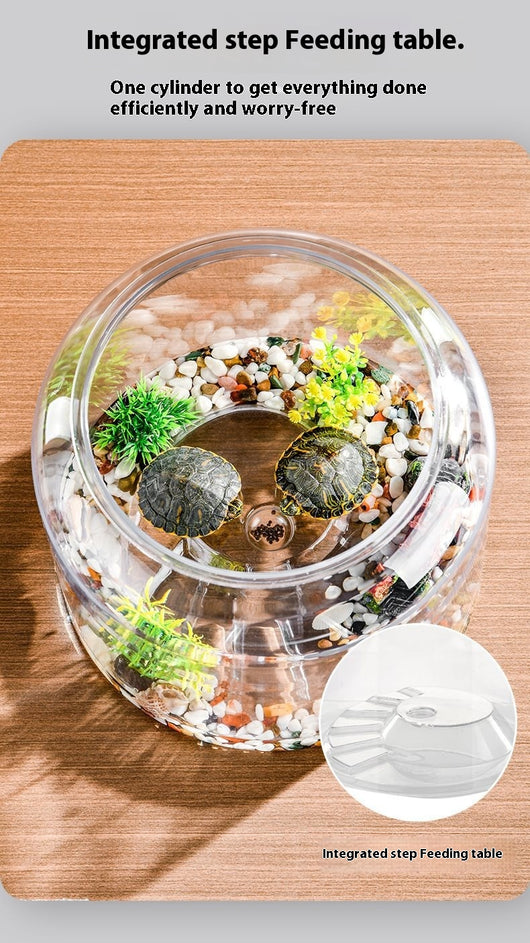 Acuario de Escritorio Ecológico con Alimentador Automático - Image 8