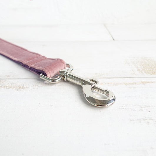 Correa para Perro con Anillo Ajustable de Cordón - Image 3