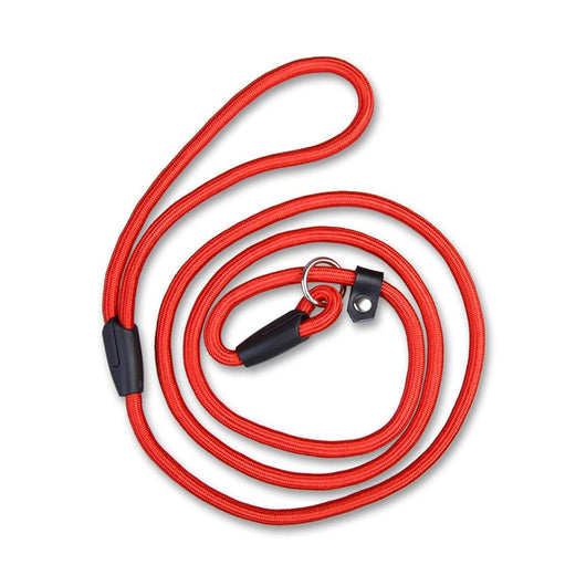 Cinturón de Tracción Deportivo Nylon Premium al Mayor - Image 4