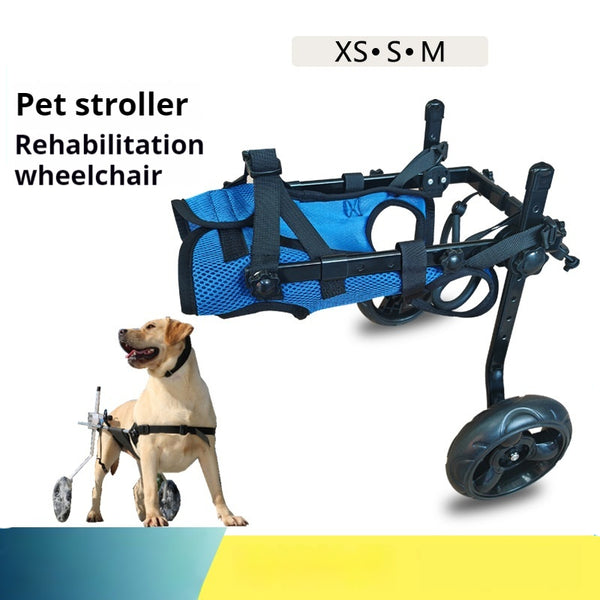 Silla de Ruedas para Perros con Discapacidad - Asistencia de Movilidad