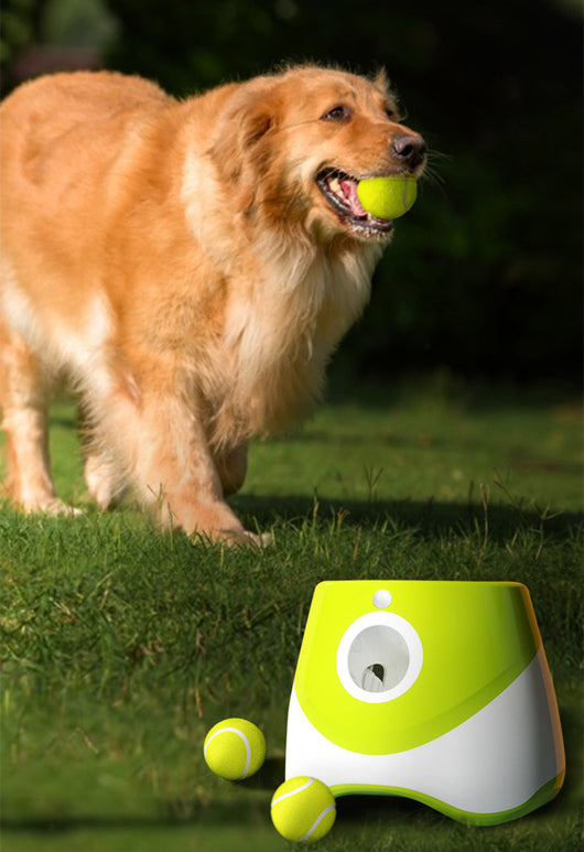 Two automatic dog ball throwers, one yellow and white, one green and white, on a wooden desk. - Image 13
