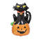 Gato Negro