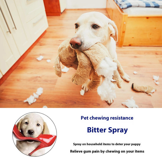 Spray Repelente Amargo para Perros - Protege Muebles y Sofás - Image 9
