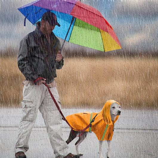 Poncho Impermeable Reflectante para Perros Grandes - Protección Total en Lluvia - Image 3