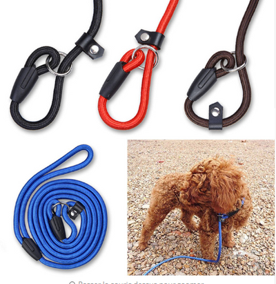 Correa de Paseo Premium para Perros Pequeños con Arnés Integrado