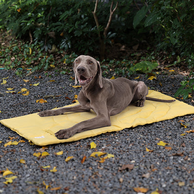 Colchoneta Térmica Plegable e Impermeable para Mascotas - Image 2