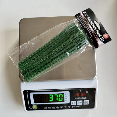 Cinta de Sujeción para Plantas Espiga de Pescado Verde - Image 16