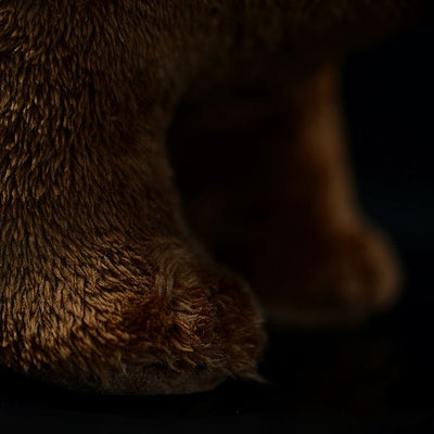 Peluche Oso Pardo Realista - Image 11