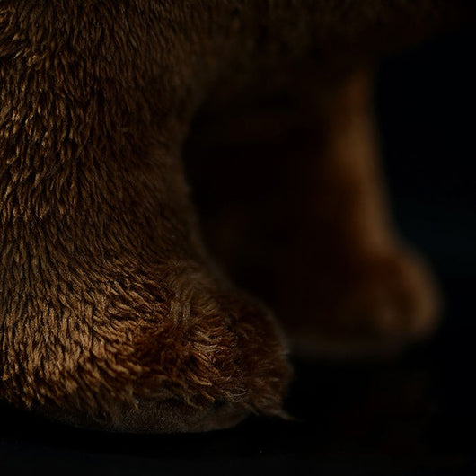 Peluche Oso Pardo Realista - Image 11