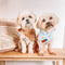 Babero Estampado para Perros Fashion Pet