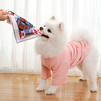 Juguete Interactivo para Perros Resistente a Mordidas con Sonido de Periódico - Image 11