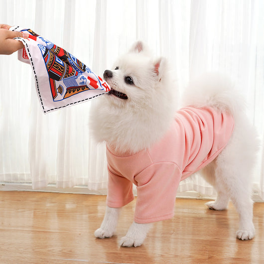 Juguete Interactivo para Perros Resistente a Mordidas con Sonido de Periódico - Image 11