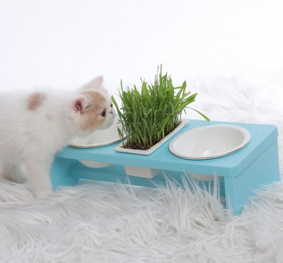 Escurridor de Platos para Gatos - Image 3