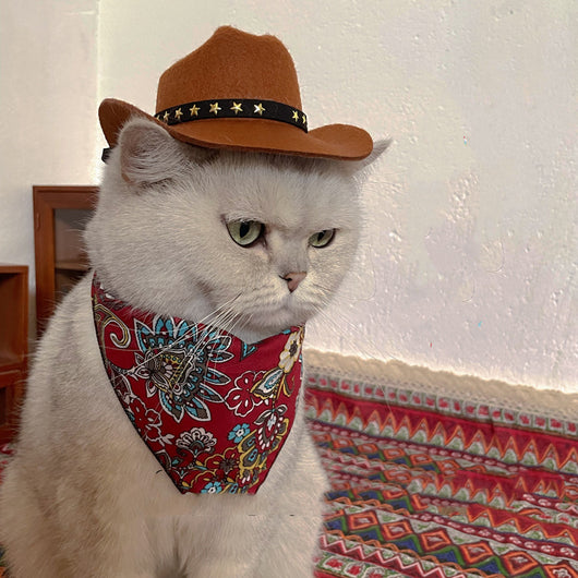 Sombrero Vaquero Decorativo para Gatos - Image 15