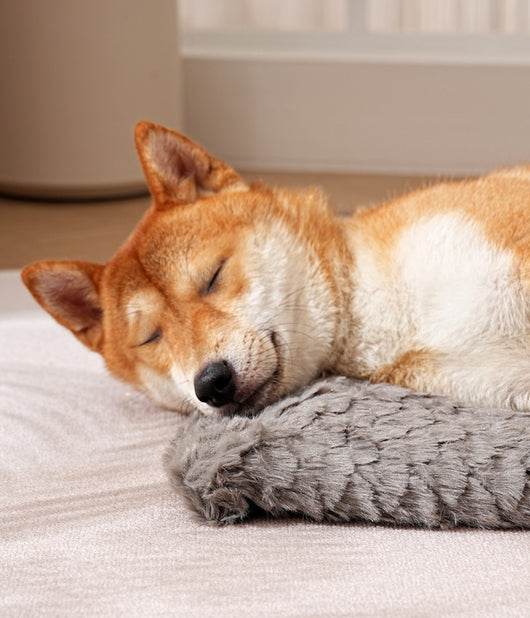 Cama Térmica para Mascotas con Patrón de Escamas - Cojín Cálido para Perros y Gatos - Image 13